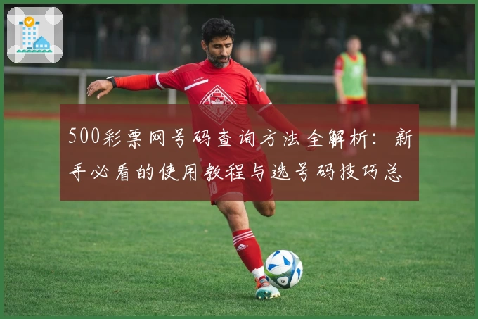500彩票网号码查询方法全解析：新手必看的使用教程与选号码技巧总结