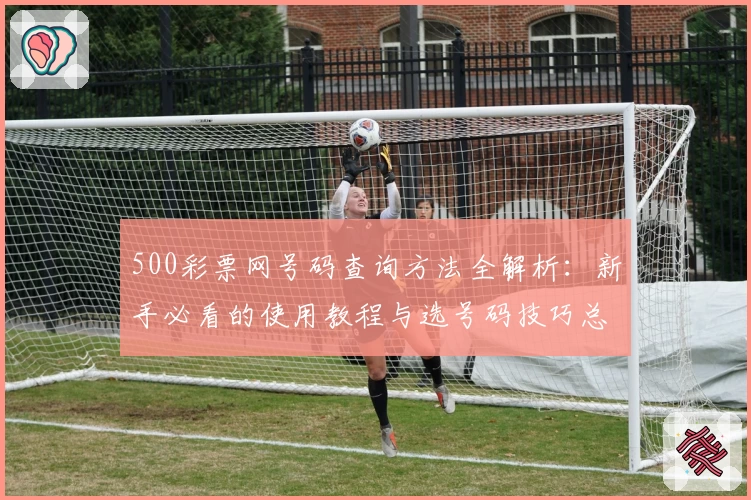 500彩票网号码查询方法全解析：新手必看的使用教程与选号码技巧总结