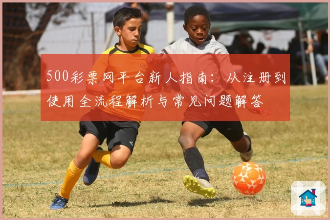 500彩票网平台新人指南：从注册到使用全流程解析与常见问题解答