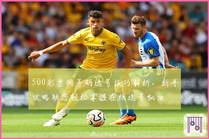 500彩票网号码选号技巧解析，新手攻略助您轻松掌握在线选号秘诀