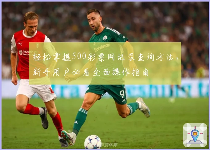 轻松掌握500彩票网记录查询方法,新手用户必看全面操作指南