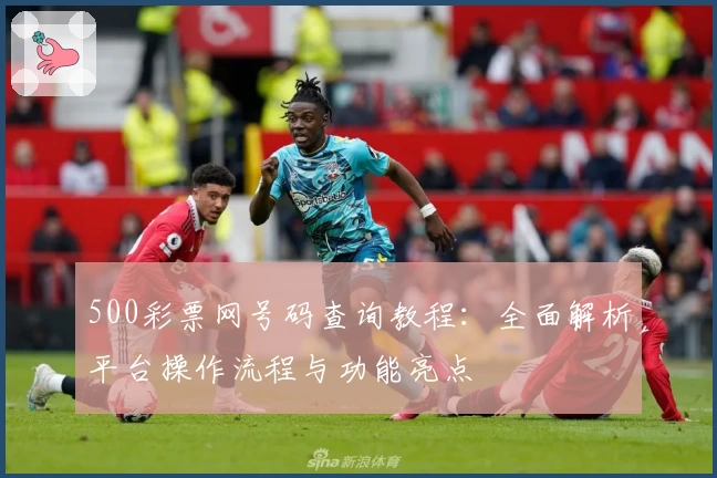 500彩票网号码查询教程:全面解析平台操作流程与功能亮点